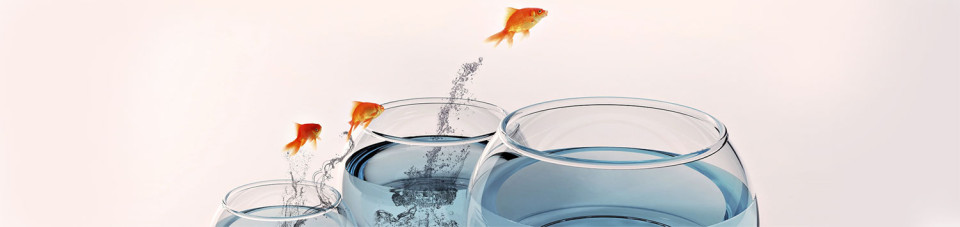 desktop-web-mobile-migration